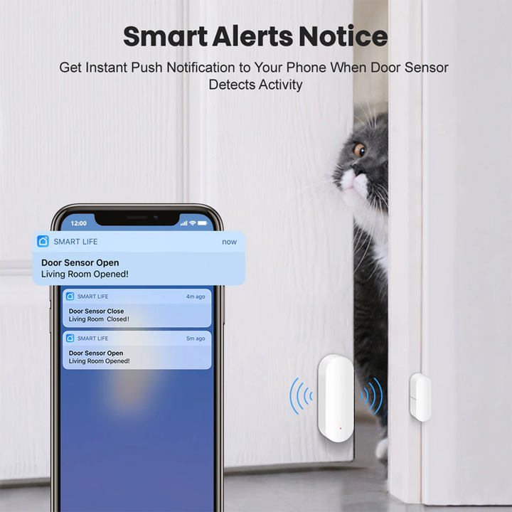 Inteligentny czujnik drzwi z WiFi i Bluetooth