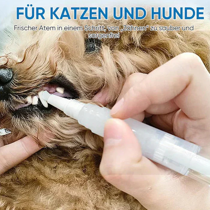 Carvallo | PawBright – Zdrowe zęby, szczęśliwe zwierzę!