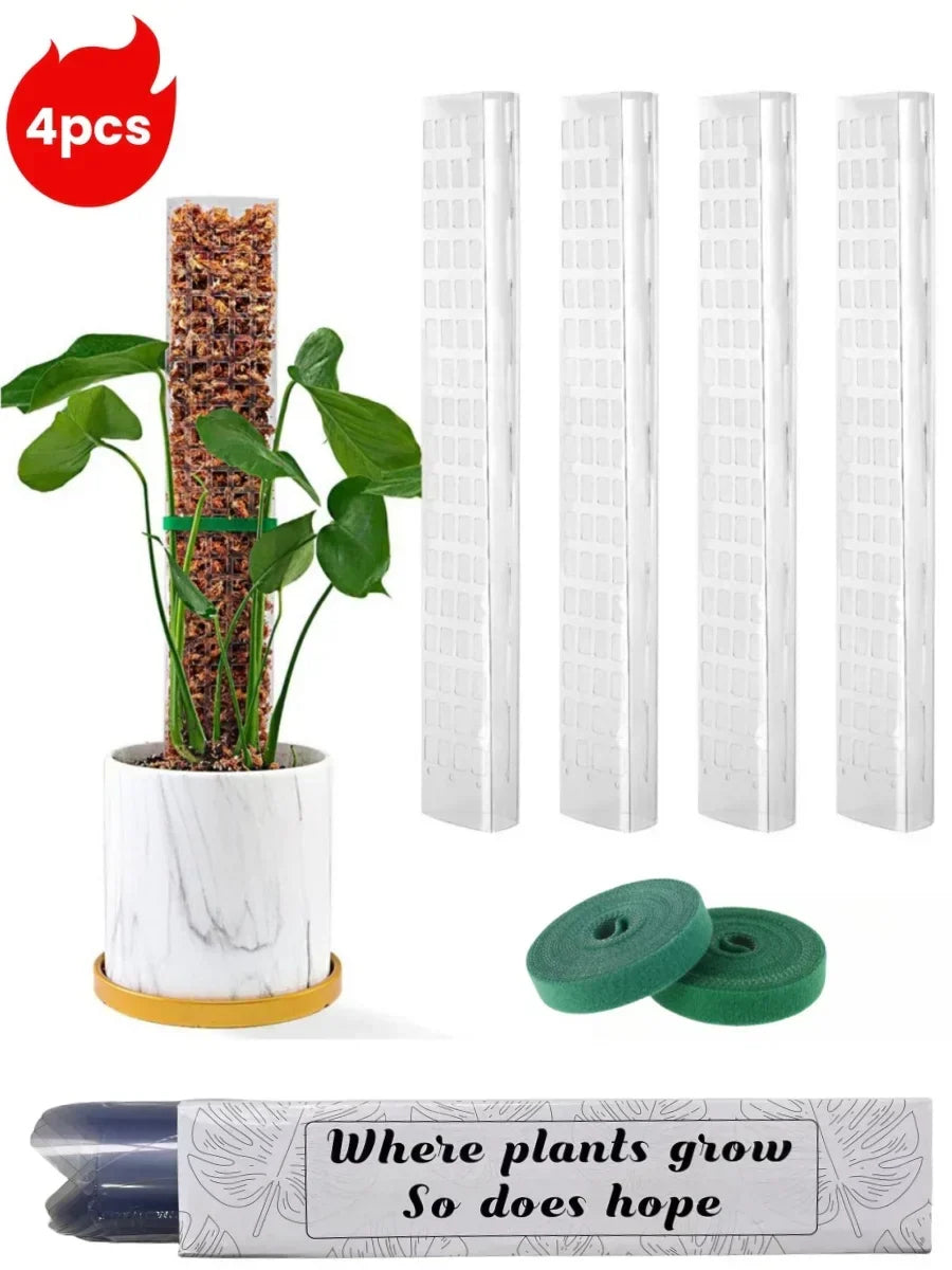 Zestaw podpór z mchu Carvallo | Przezroczyste wsparcie roślin w PVC | Wspomaga pionowy wzrost roślin pnących | Wielokrotnego użytku | Długość 30 cm / 60 cm