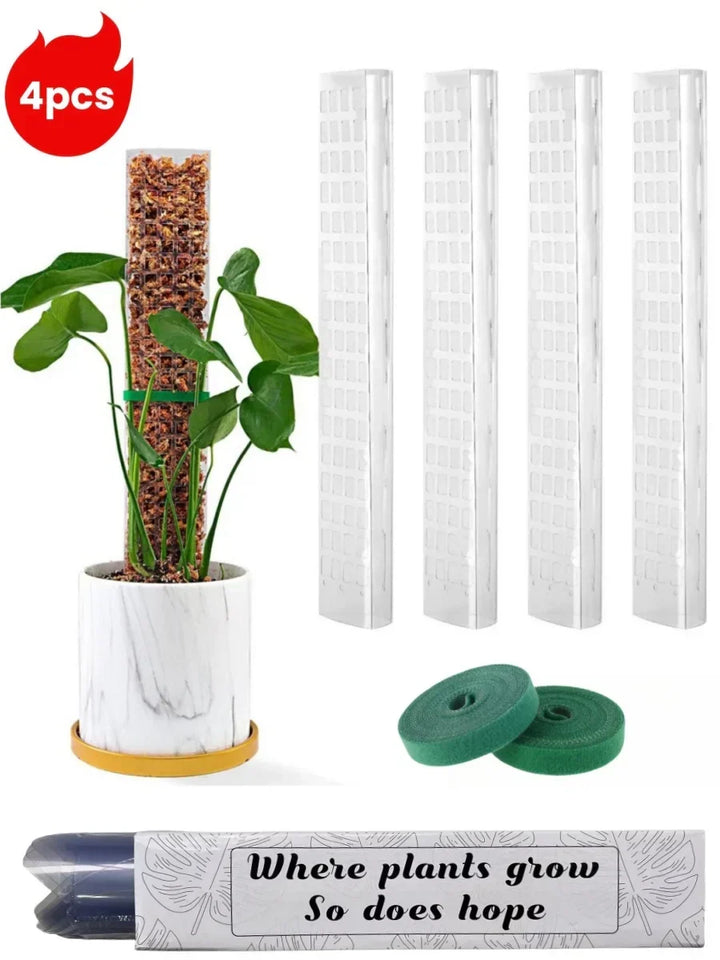 Zestaw podpór z mchu Carvallo | Przezroczyste wsparcie roślin w PVC | Wspomaga pionowy wzrost roślin pnących | Wielokrotnego użytku | Długość 30 cm / 60 cm