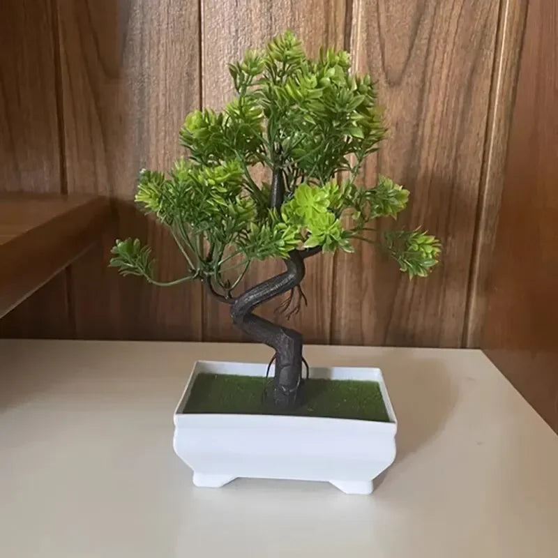 Carvallo Floraviva | Realistyczny wygląd | Bezobsługowy i wszechstronny | Wysokość 25 cm
