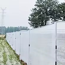Carvallo Premium Siatka Ochronna | Drobnooczko na owady i ptaki | 2,5 × 5 m Ochrona dla owoców, warzyw i roślin – Biała