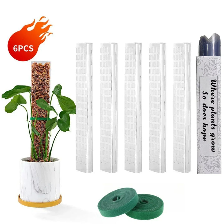 Zestaw podpór z mchu Carvallo | Przezroczyste wsparcie roślin w PVC | Wspomaga pionowy wzrost roślin pnących | Wielokrotnego użytku | Długość 30 cm / 60 cm