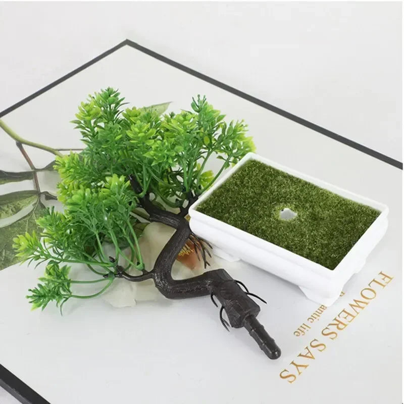 Carvallo Floraviva | Realistyczny wygląd | Bezobsługowy i wszechstronny | Wysokość 25 cm