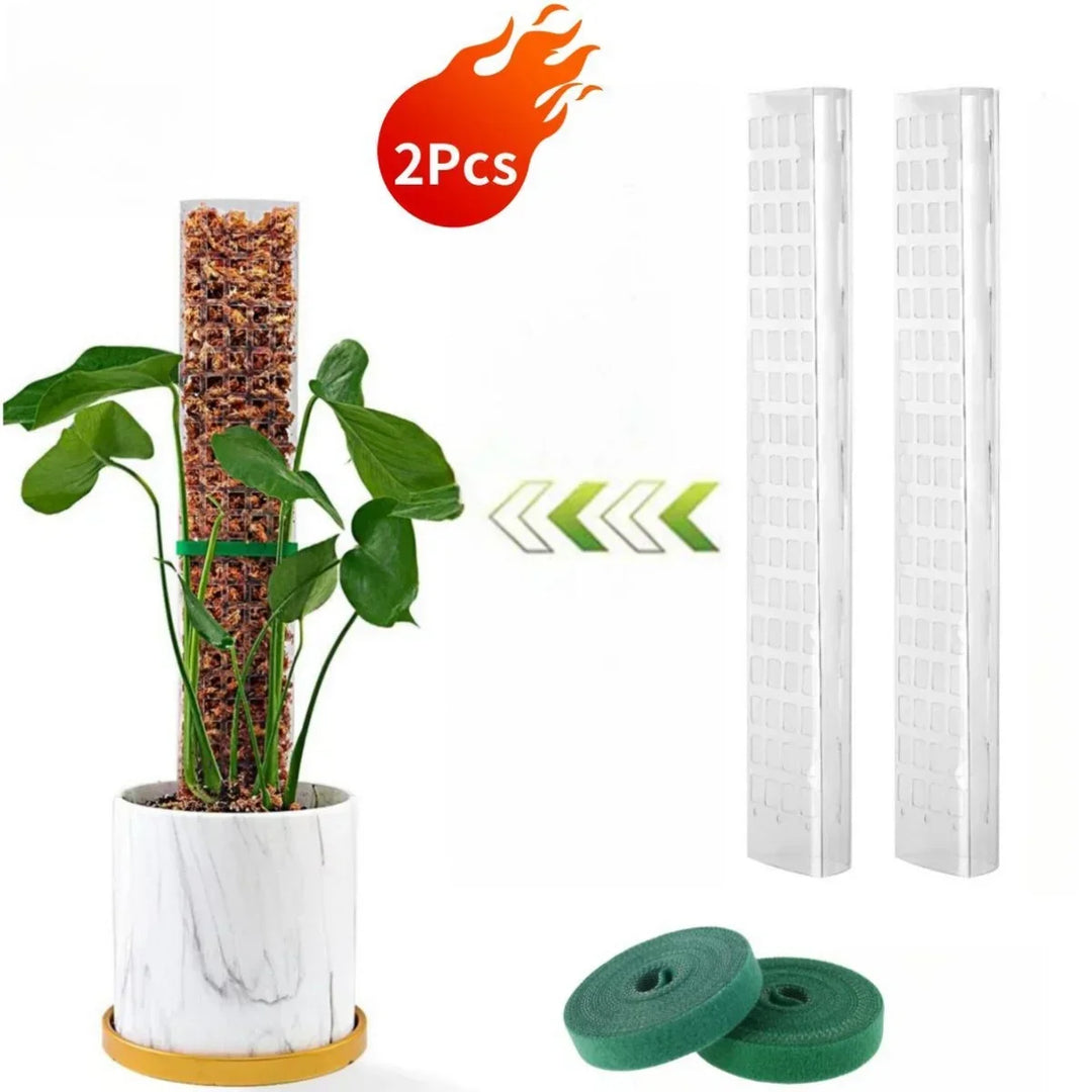 Zestaw podpór z mchu Carvallo | Przezroczyste wsparcie roślin w PVC | Wspomaga pionowy wzrost roślin pnących | Wielokrotnego użytku | Długość 30 cm / 60 cm