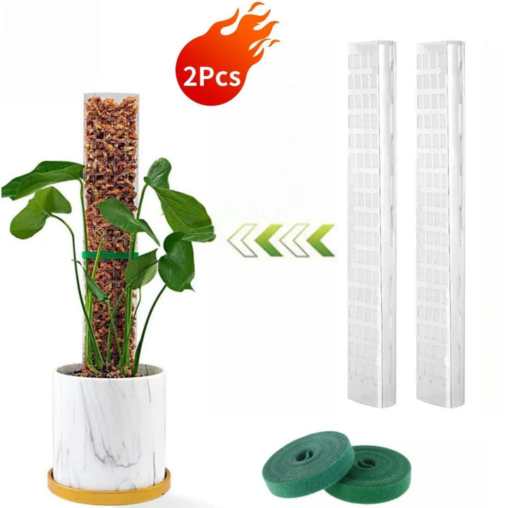 Zestaw podpór z mchu Carvallo | Przezroczyste wsparcie roślin w PVC | Wspomaga pionowy wzrost roślin pnących | Wielokrotnego użytku | Długość 30 cm / 60 cm