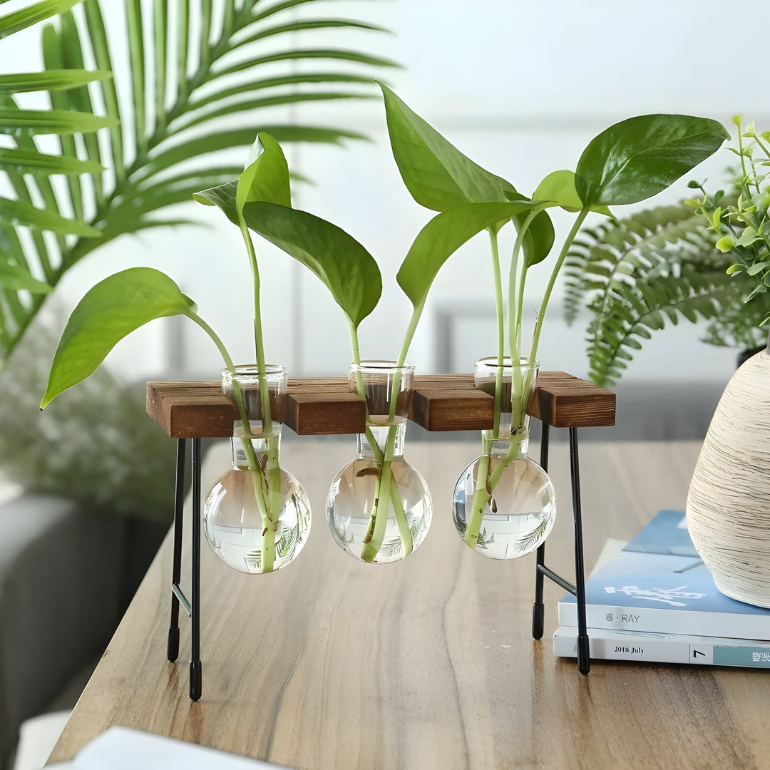 GlassRoot Waza - Ramka Drewniana Hydroponiczny Pojemnik na Rośliny z Kulą Szklaną
