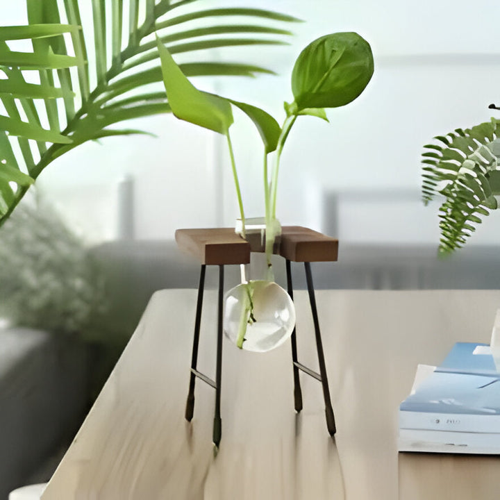 GlassRoot Waza - Ramka Drewniana Hydroponiczny Pojemnik na Rośliny z Kulą Szklaną