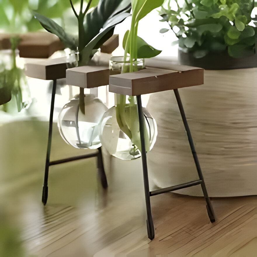 GlassRoot Waza - Ramka Drewniana Hydroponiczny Pojemnik na Rośliny z Kulą Szklaną