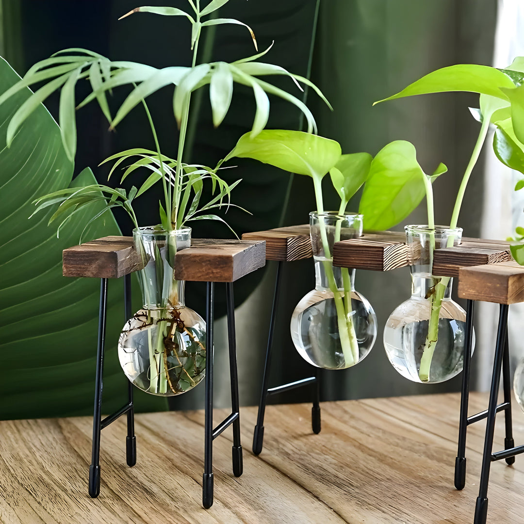 GlassRoot Waza - Ramka Drewniana Hydroponiczny Pojemnik na Rośliny z Kulą Szklaną
