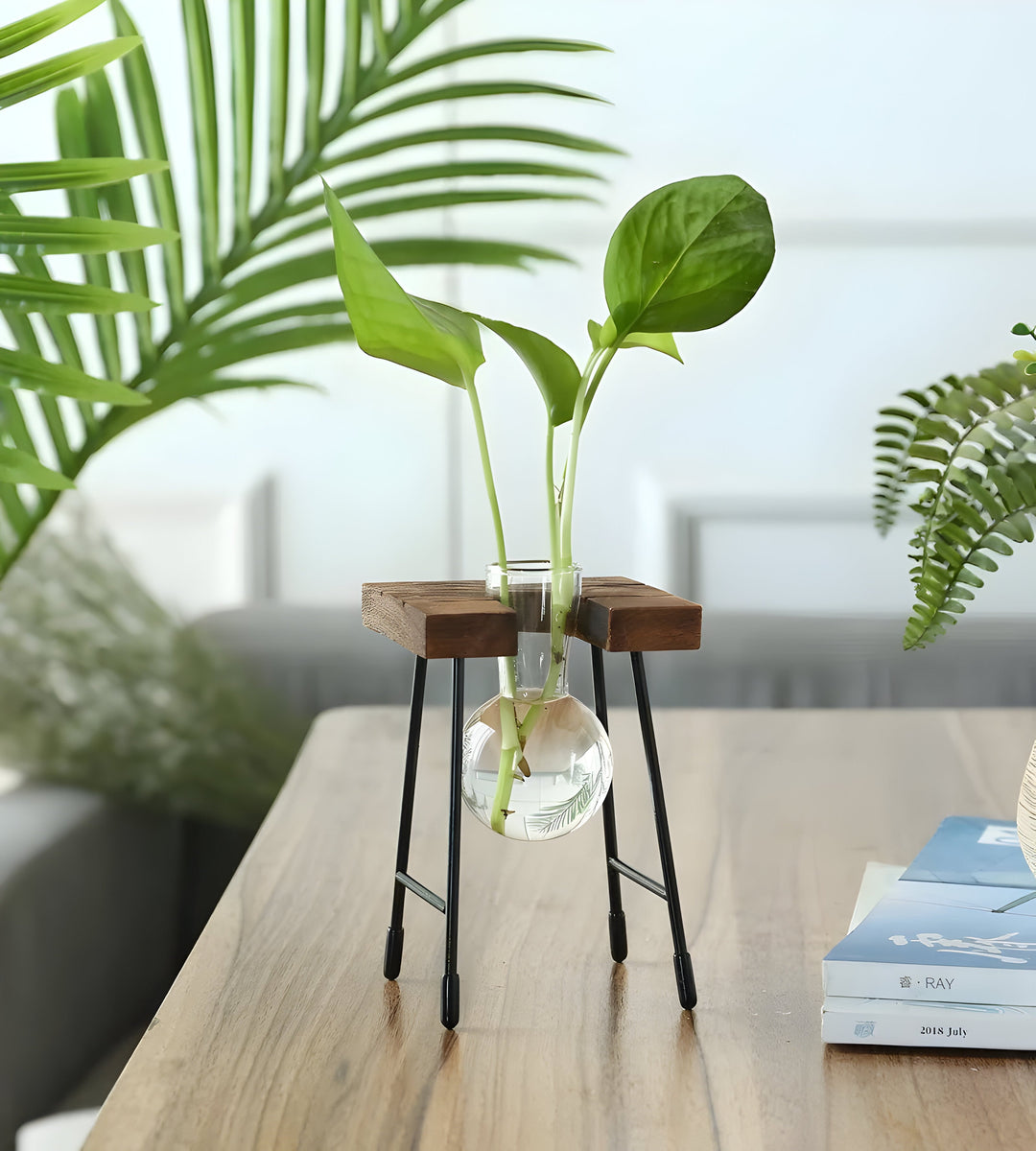 GlassRoot Waza - Ramka Drewniana Hydroponiczny Pojemnik na Rośliny z Kulą Szklaną