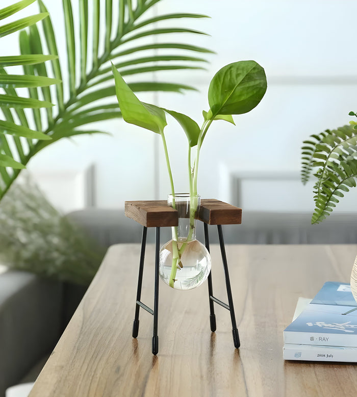 GlassRoot Waza - Ramka Drewniana Hydroponiczny Pojemnik na Rośliny z Kulą Szklaną