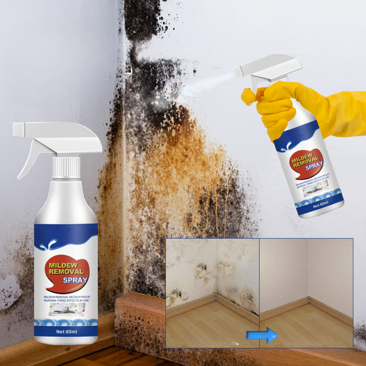 Carvallo - Spray do usuwania pleśni